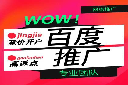 案例分析：高效信息流广告投放策略